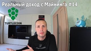 Отдали Майнинг Зеленым Chukwa + Turtlecoin Считаем Реальный доход