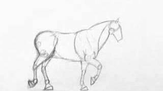 Horse Walk Cycle