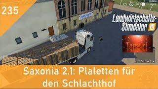 LS19 Saxonia 2.1  Produktionen und Tiere.  Let`s Play #235 Paletten für den Schlachthof