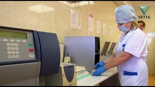 Что делать, если результат на ВИЧ-инфекцию положительный