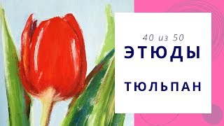 4️⃣0️⃣ ТЮЛЬПАН (гуашь). Серия «50 этюдов»