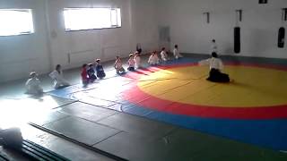 Mongolian Aikido