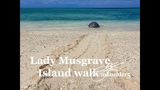 Lady Musgrave Island walk around while on my five day stay.