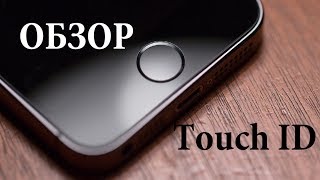 Обзор Touch ID - сканер отпечатков пальцев (iPhone 5S)