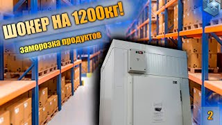 Камера шоковой заморозки на тележках. 1200 кг в сутки. 60 кг в час.