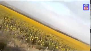 НОВОСТИ СЕГОДНЯ Танковый бой Новороссия Украина Снежное Донецк Шахтерск Торез Славянск война 2014