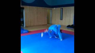 Vovinam Sprungtechnik an den Hals