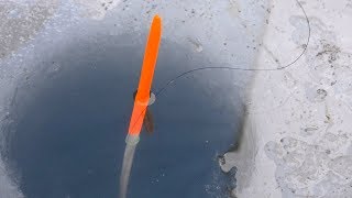 ЗАКИНУЛ ПОПЛАВОК В ЛУНКУ...КАРАСЬ ПРЁТ ПОД ЛЁД?! Зимняя рыбалка 2019