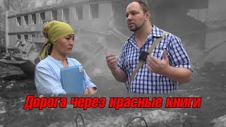 Дорога по красным книгам. Частная собственность в Бишкек под угрозой?
