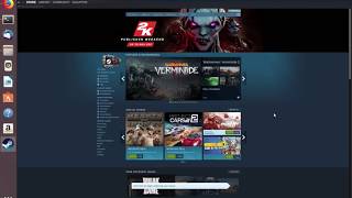 How to Install Steam on Ubuntu 19.04 18.04 LTS