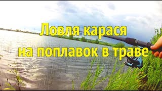Ловля карася в траве в июне на поплавок. Рыбалка на карася