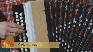 Камаринская. Год обучения на гармони.