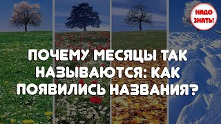 Почему месяцы так называются: как появились названия?
