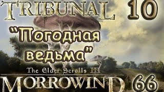 [66/10] TES III Morrowind  [Fullrest Repack v.1,4] "Погодная ведьма"
