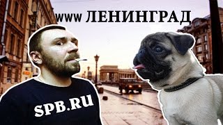 ВВВ ЛЕНИНГРАД ВВВ ТОЧКА РУ |КЛИП ПАРОДИЯ |МОПС СМЕШНОЕ ВИДЕО| PUG TV #КЕКСАНУТЫЕ