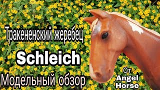 Модельный обзор 2 /тракененский жеребец 2013 /schleich