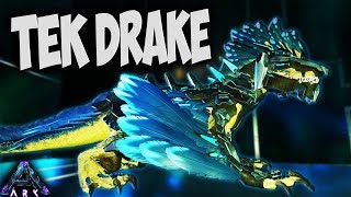 ROCK DRAKE TEK SADDLE & BREEDING! (Ark Survival Evolved Aberration Pooping Evolved Ep 21)
