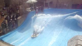 وايلد وادي دبي & Wild Wadi
