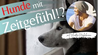 Hunde haben doch ein Zeitgefühl! (Profi-Tipps/Hundeerziehung)