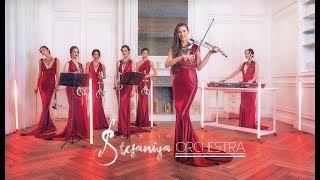 Beethoven - Ode To Joy (Stefaniya Violin Orchestra & DJ Remix)