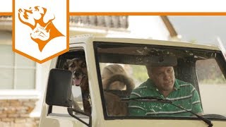 Making Of Einfach Hund Folge 4: Nicht an der Leine zerren, Amy! | Vet-Concept