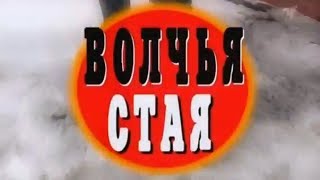 КРИМИНАЛЬНАЯ РОССИЯ «Волчья стая»