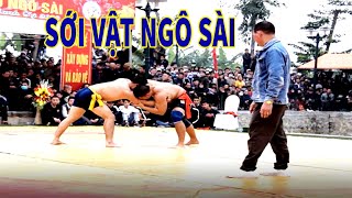 Miếng Đánh Đẹp Mắt- Hạ Đối Thủ Keo 2 giải Nhất -Vật Truyền Thống Phố Ngô Sài  Xuân 2020.