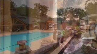 Echota Amenities and The Local Area