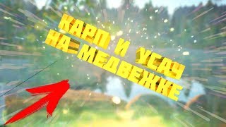 СТРИМ! ПО РУССКОЙ РЫБАЛКЕ 4 (РР4) КАРП И УСАЧ НА МЕДВЕЖКЕ ОБНОВА В РР4 (РУССКАЯ РЫБАЛКА 4) #РР4