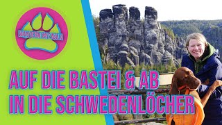 Auf die Bastei und ab in die Schwedenlöcher - Elbsandsteingebirge ⛰️ mit Hund - Wandern mit Hund ?