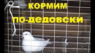 Технологии древних. Как кормить птицу без затрат.
