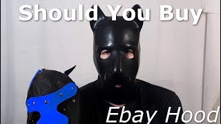 Should you buy: The 35 Dollar Ebay Pup Hood