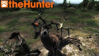 Thehunter Classic Non-Typical Whitetail Deer 2019 (4K ULTRA HD)