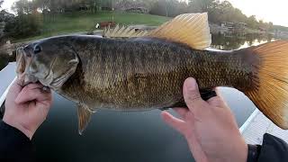 UNREAL Fall Bass Fishing