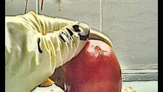 Tomatoes - a snuff film by Zelda Halopile (2013)