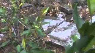 Deir Yassin Remembered