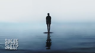 TENDER - Illuminate