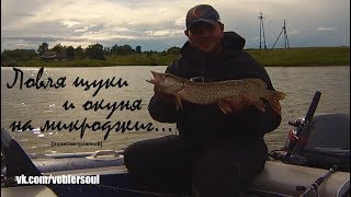 Ловля щуки и окуня на микроджиг. Супер рыбалка на пруду. Видео отчет от 23 июня 2017 г.