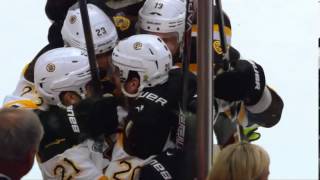 Chicago Blackhawks   2013 Stanley Cup Champions