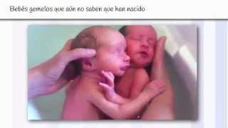 Bebés gemelos que aún no saben que han nacido