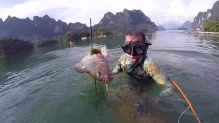 ดำน้ำยิงปลาเขาสก ยิงทีเดียว2ตัว 2ทีติด spearfishing in Khaosok with S&H EP5.