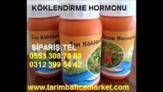 İBA HORMON,köklendirme hormonları,indol bütirik asit