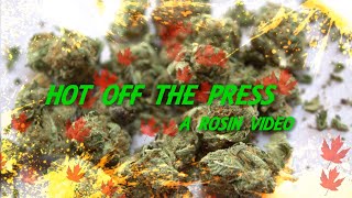 Black Tuna Indica - A Rosin Video