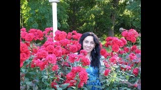 Заира Зейнетдинова – крымскотатарский поэт, переводчик, вышивальщица, модельер