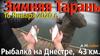 Зимняя Тарань,16 Января 2020 г. Рыбалка на Днестре,  43 км.
