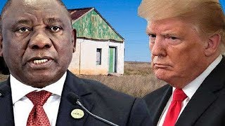 South African President Cyril Ramaphosa Responds To Donald Trump's Tweet