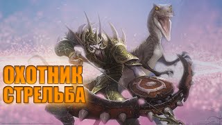 Охотник Стрельба PvE гайд 6.2