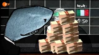Toll! Bruce, der Wettkönig
