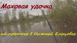Рыбалка в Сибири #40. Ловим уклейку, сорогу на поплавочную удочку на протоке в Нижней Ельцовке.