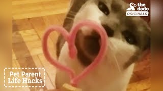 How To Make Cat Toys With Things in Your Home | The Dodo Pet Parent Hacks